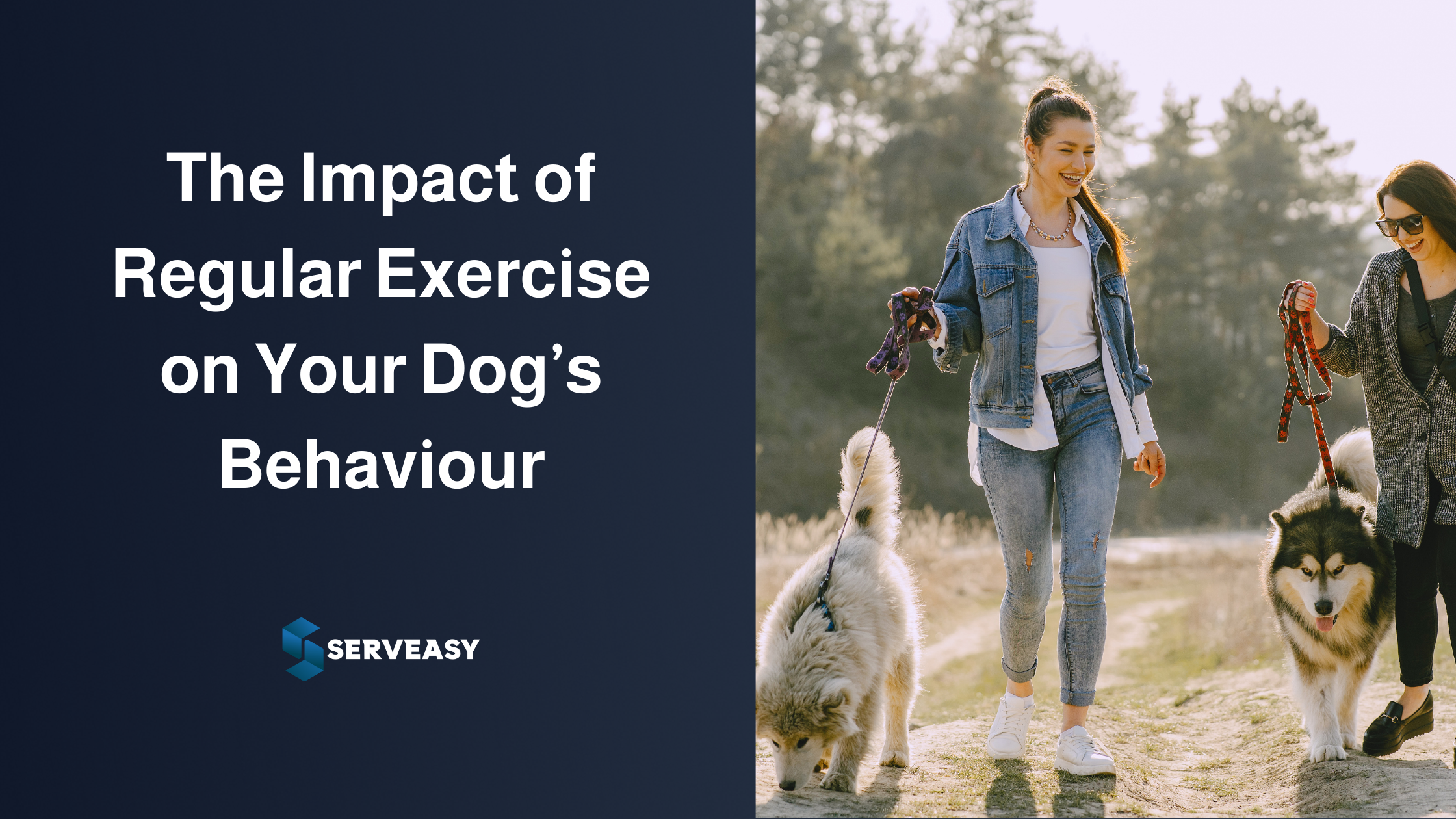 The Impact of Regular Exercise on Your Dogs Behaviour | Serveasy Blog